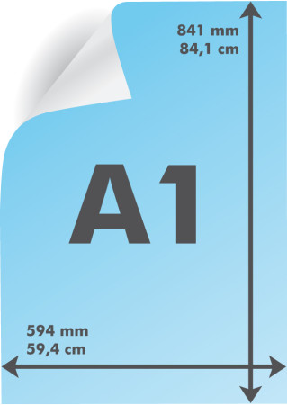 Actualité